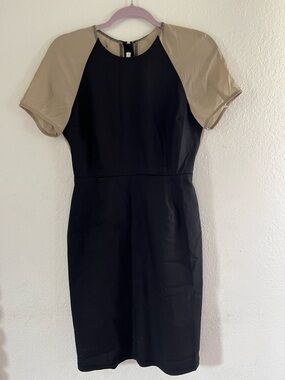 Flawed ‼️ ACNE Sheath Dress with Taupe Raglan Sleeves